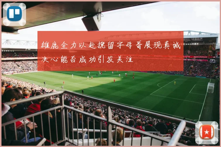 雄鹿全力以赴挽留字母哥展现真诚决心能否成功引发关注