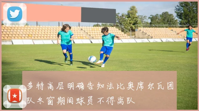 多特高层明确告知法比奥席尔瓦团队冬窗期间球员不得离队