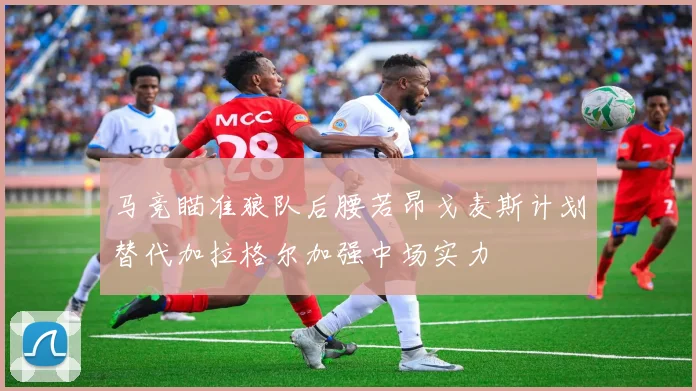 马竞瞄准狼队后腰若昂戈麦斯计划替代加拉格尔加强中场实力
