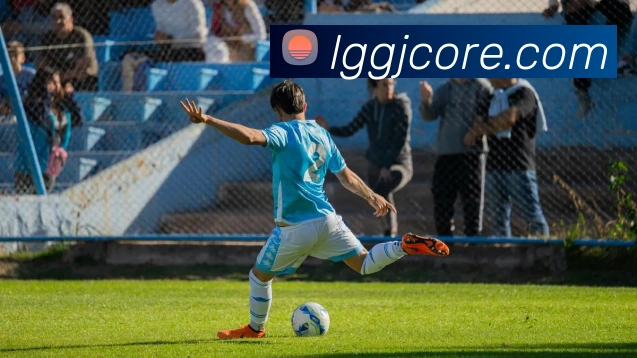 乐冠国际平台生态图